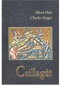 Albert Hari,Charles Singer - Csillagút