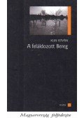 Kun István - A feláldozott Bereg