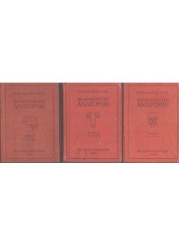 Hermann Voss, Robert Herrlinger - Taschenbuch der Anatomie I-III. Hermann Voss, Robert Herrlinger - Taschenbuch der Anatomie I-III., Jena 1966 antikvár könyv