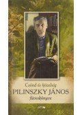 Pilinszky János - Csönd és közelség