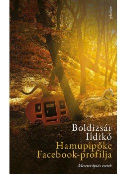 Boldizsár Ildikó - Hamupipőke Facebook-profilja Boldizsár Ildikó - Hamupipőke Facebook-profilja, 2018 antikvár könyv