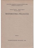 Schipp Ferenc,Szabó Dániel,Turczi Gyula - Matematika példatár