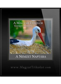 Szilágyi Ákos - A Magyar Trikolor Tizenket  Honapja a Nemzet Naptara, null 2017 antikvár könyv