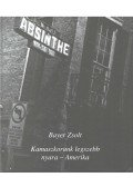Bayer Zsolt - Kamaszkorunk legszebb nyara - Amerika