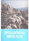 Lukács András - Budaörsi mozaik