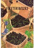 Czanik Sándor - Feketeribiszke