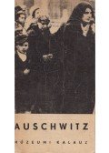 Smolen, Kazimierz - Auschwitz 1940-1945