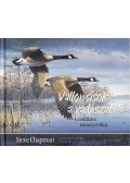 CHAPMAN, STEVE - Vallomások a vadászatról
