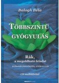 Balogh Béla - Többszintű gyógyulás