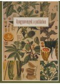  Dr. Szarvasházi Judit - Gyógynövények a patikában
