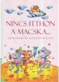 Imre Zsuzsánna,Péter Kinga (összeáll.) - Nincs itthon a macska...