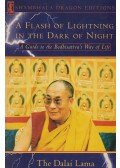 Tenzin Gyatso, a XIV. Dalai Láma - A Flash of Lightning in the Dark of Night