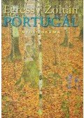 Egressy Zoltán - Portugál