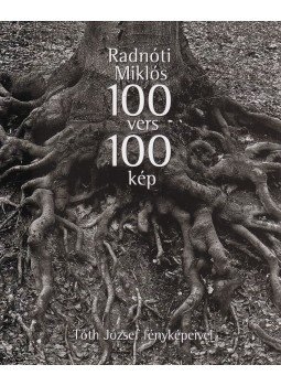 Radnóti Miklós - 100 vers 100 kép Radnóti Miklós - 100 vers 100 kép, Budapest 2009 antikvár könyv