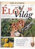 Ujhelyi Péter - ÉlőVilág 16