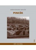 Mednyánszky Miklós - Pincék
