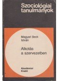 Magyari Beck István - Alkotás a szervezetben