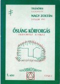 Nagy Zoltán - Ősláng körforgás 1. (dedikált)