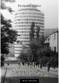 Verrasztó Gábor - A "félig bevert szeg"