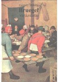 Gergely Mihály - Bruegel varázslatai