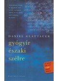 Daniel Glattauer - Gyógyír északi szélre