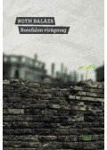 Both Balázs - Romfalon virágmag
