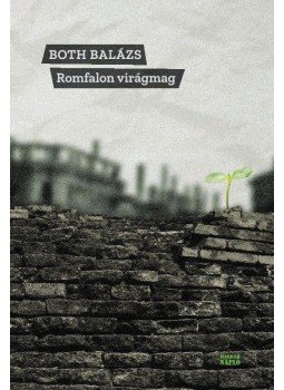 Both Balázs - Romfalon virágmag Both Balázs - Romfalon virágmag, null 2018 antikvár könyv