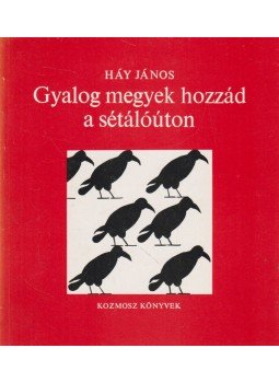Háy János - Gyalog megyek hozzád a sétálóúton, Budapest 1989 antikvár könyv
