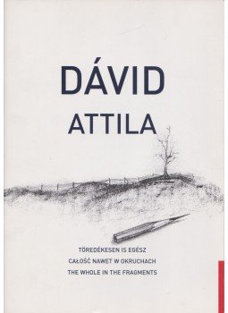 Benedek Katalin, Dávid Csaba - Dávid Attila Benedek Katalin, Dávid Csaba - Dávid Attila, Budapest 2009 antikvár könyv