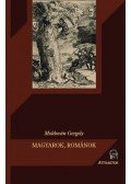 Moldován Gergely - Magyarok, románok - A nemzetiségi ügy kritikája - A nemzetiségi ügy kritikája