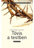 DAVID HERBERT LAWRENCE - Tövis a testben - Elbeszélések