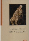 Ferdinandy György - Pók a víz alatt