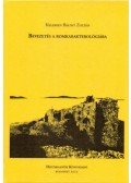 Kelemen Bálint Zoltán - Bevezetés a romkarakterológiába