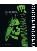 Szkárosi Endre; Arany Imre - Verboterror - Performanszköltemények
