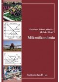 Kopányi Mihály - Mikroökonómia