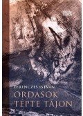 Ferenczes István - Ordasok tépte tájon