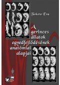 FeketeÉva - A gerincesállatok egyedfejlődésének anatómiai alapjai