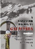 Dr. Bedécs Gyula - A Kárpátok hágóin át Galíciába