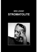Bíró József - Stromatolite