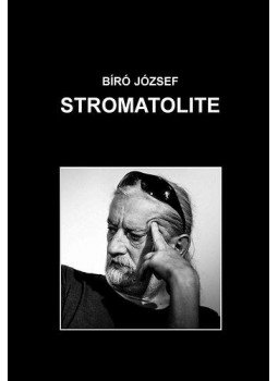 Bíró József - Stromatolite Bíró József - Stromatolite, null 2014 antikvár könyv