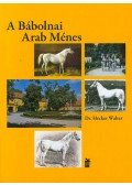 Hecker Walter - A Bábolnai Arab Ménes - 1789-2014