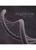 Magolcsay Nagy Gábor - Második ismeretlen