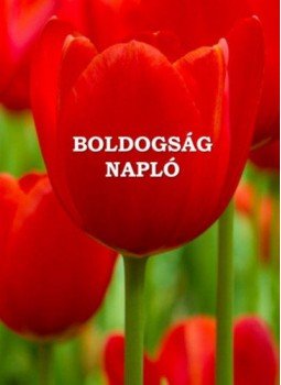 Miskovics Gábor - Boldogságnapló - puha kötés, null 2016 antikvár könyv