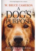 W. Bruce Cameron - A dogs purpose - Every dog happens for a reason