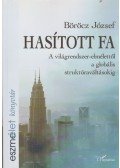 Böröcz József - Hasított fa