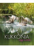 L. Horváth Katalin - Kukkónia - Négy évszak