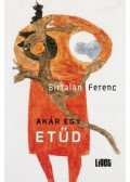 Birtalan Ferenc - Akár egy etűd