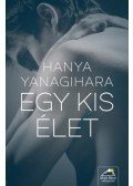 Hanya Yanagihara - Egy kisélet