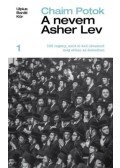 Chaim Potok - A nevem Asher Lev