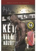 Andor József - Két világ között